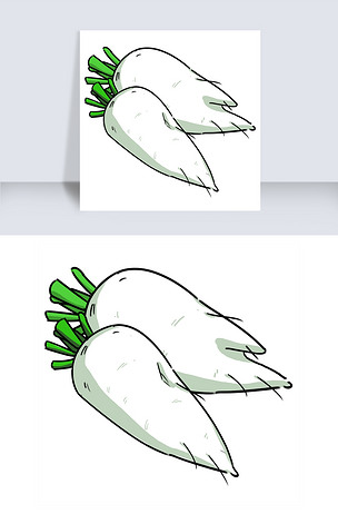 原创手绘蔬菜白萝卜插画