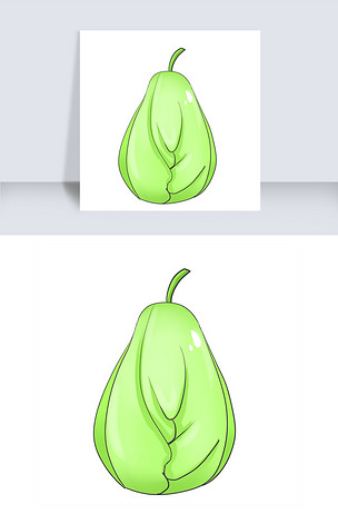 蔬菜佛手瓜的插画