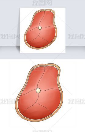 ζŲ廭