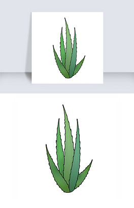 一株芦荟简笔画图案