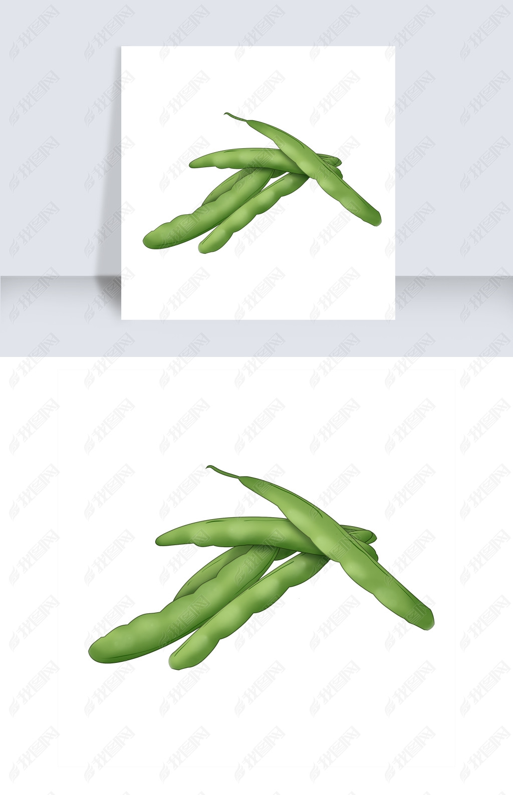 原创绿色芸豆角插图装饰版权可商用
