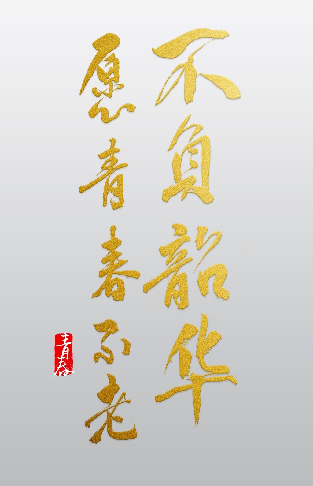 愿青春不老不服负韶华