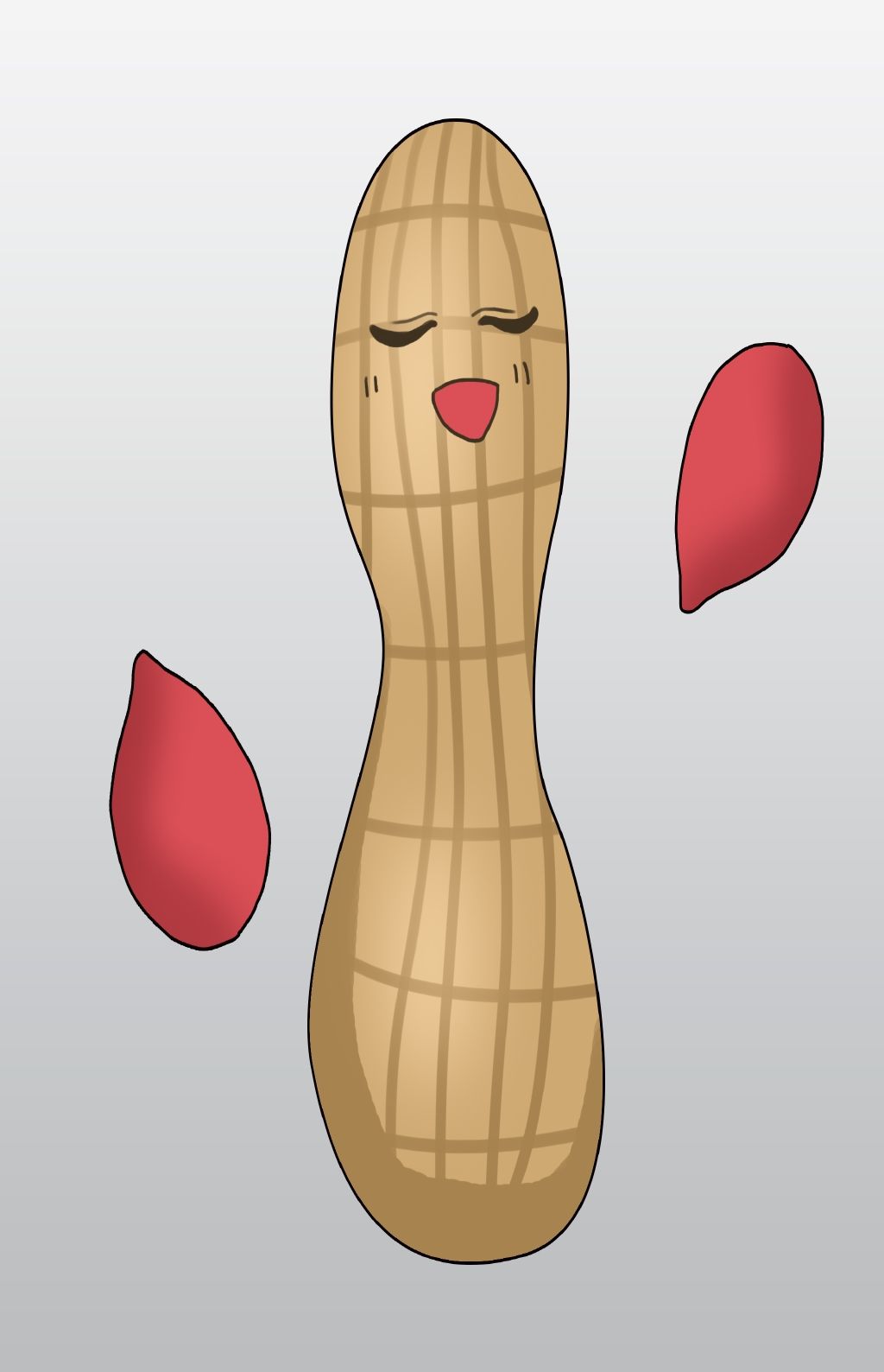 原创食材花生卡通插画