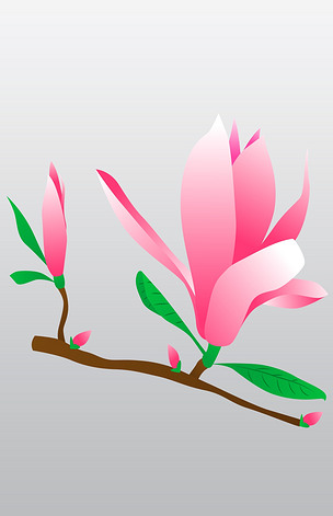原创矢量免扣卡通玉兰花版权可商用