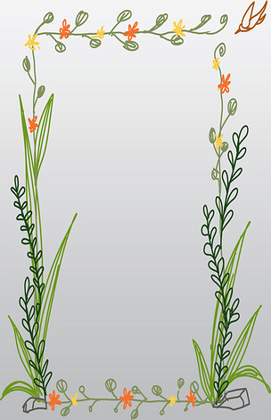 卡通手绘线性可爱清新自然春夏花鸟植物方形边框