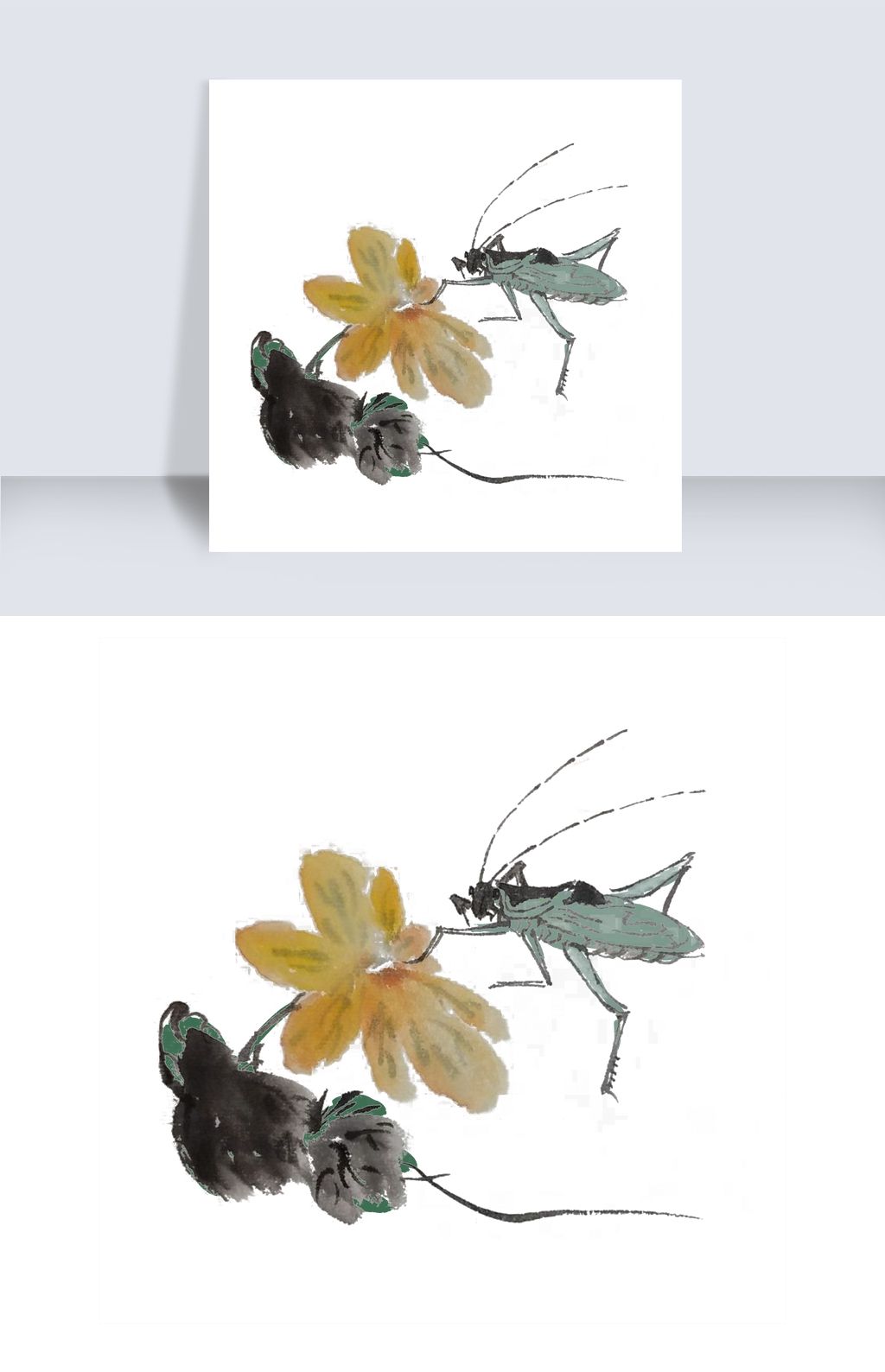 夏天蛐蛐手绘插画