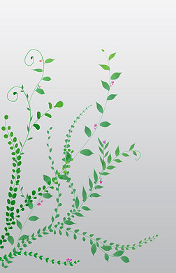 延伸花朵免抠元素|漂亮的植物藤蔓插画