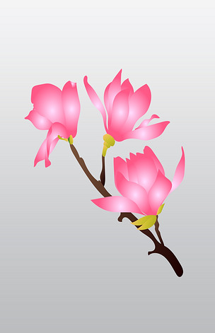 矢量免扣卡通玉兰花