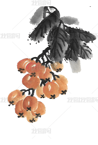 水墨枇杷画法专题模板-水墨枇杷画法图片素材下载-我图网