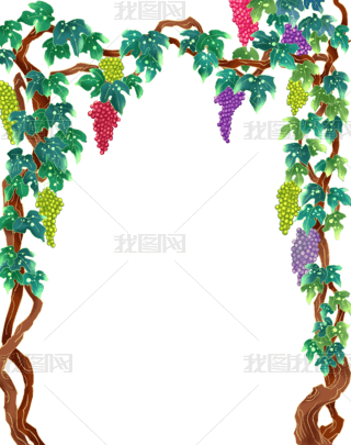葡萄架葡萄叶子边框