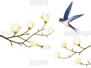 ŷ紺֦