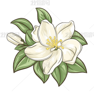 扁平卡通免抠图素材栀子花