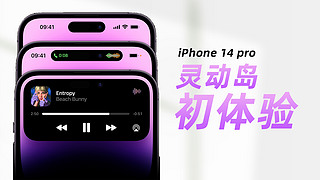 iPhone 14 pro鶯ɫԼƵ